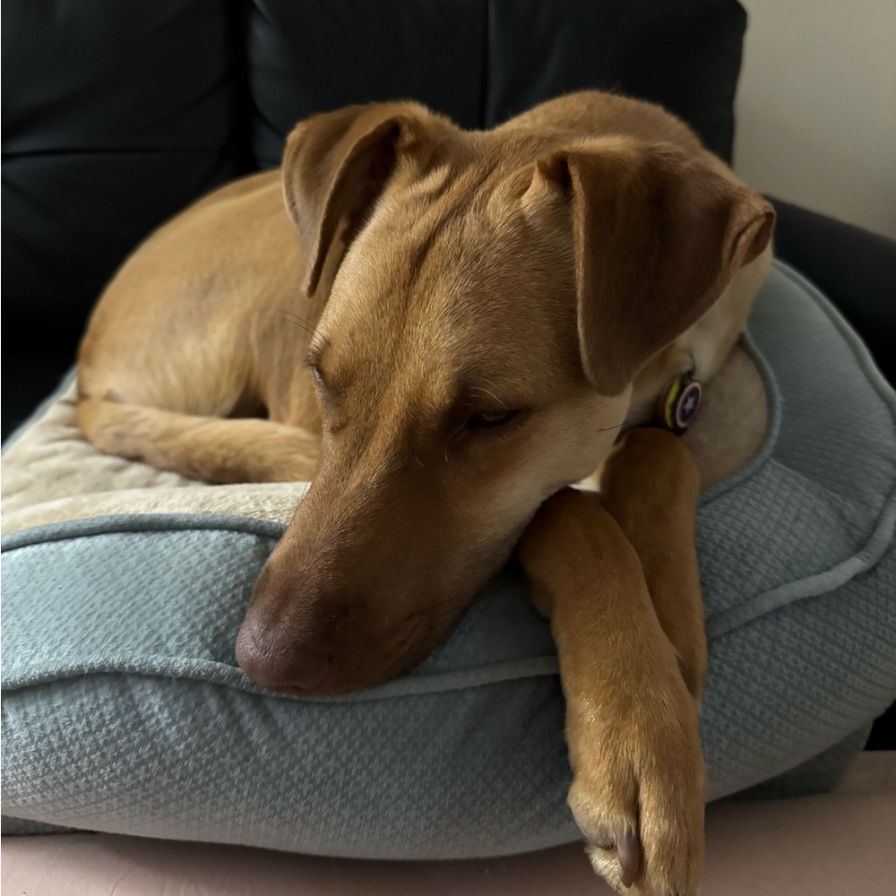 About Seaside Garments - Picture 4 of 4